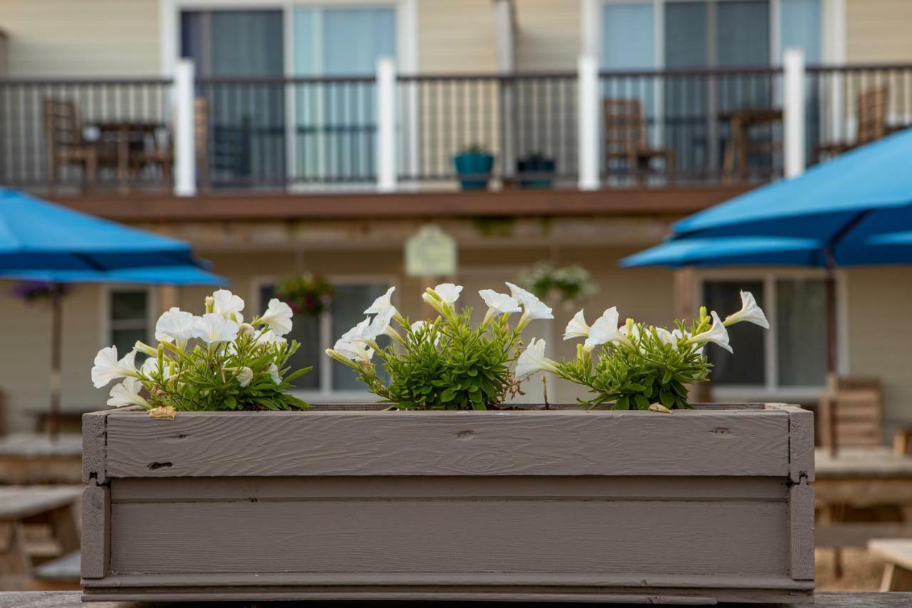 Aqualina Inn Montauk (Adults Only) Exteriör bild
